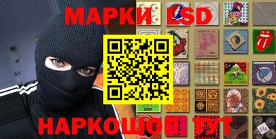 гидра Будённовск