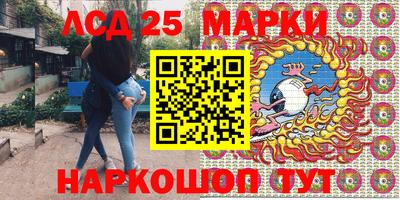 гидра Будённовск