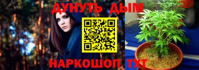 гидра Будённовск