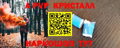гидра Будённовск