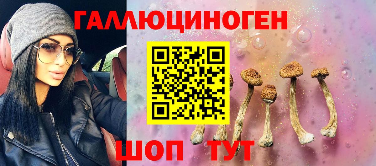 Галлюциногенные грибы мицелий Северск