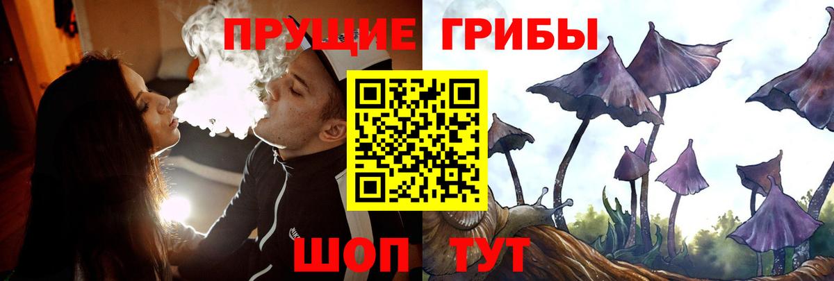 цены   Галлюциногенные грибы мицелий  Вход с VPN  Северск  Псилоцибиновые грибы MAGIC MUSHROOMS 